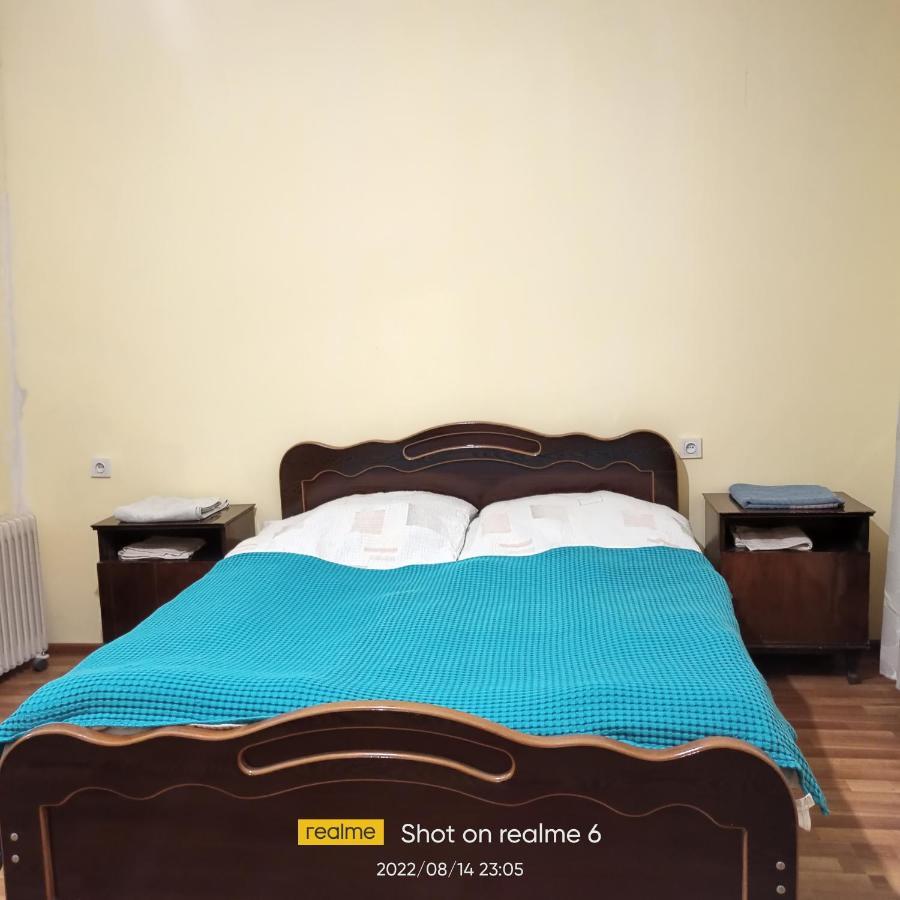Guest House Ketevan Niguriani 梅斯蒂亚 外观 照片